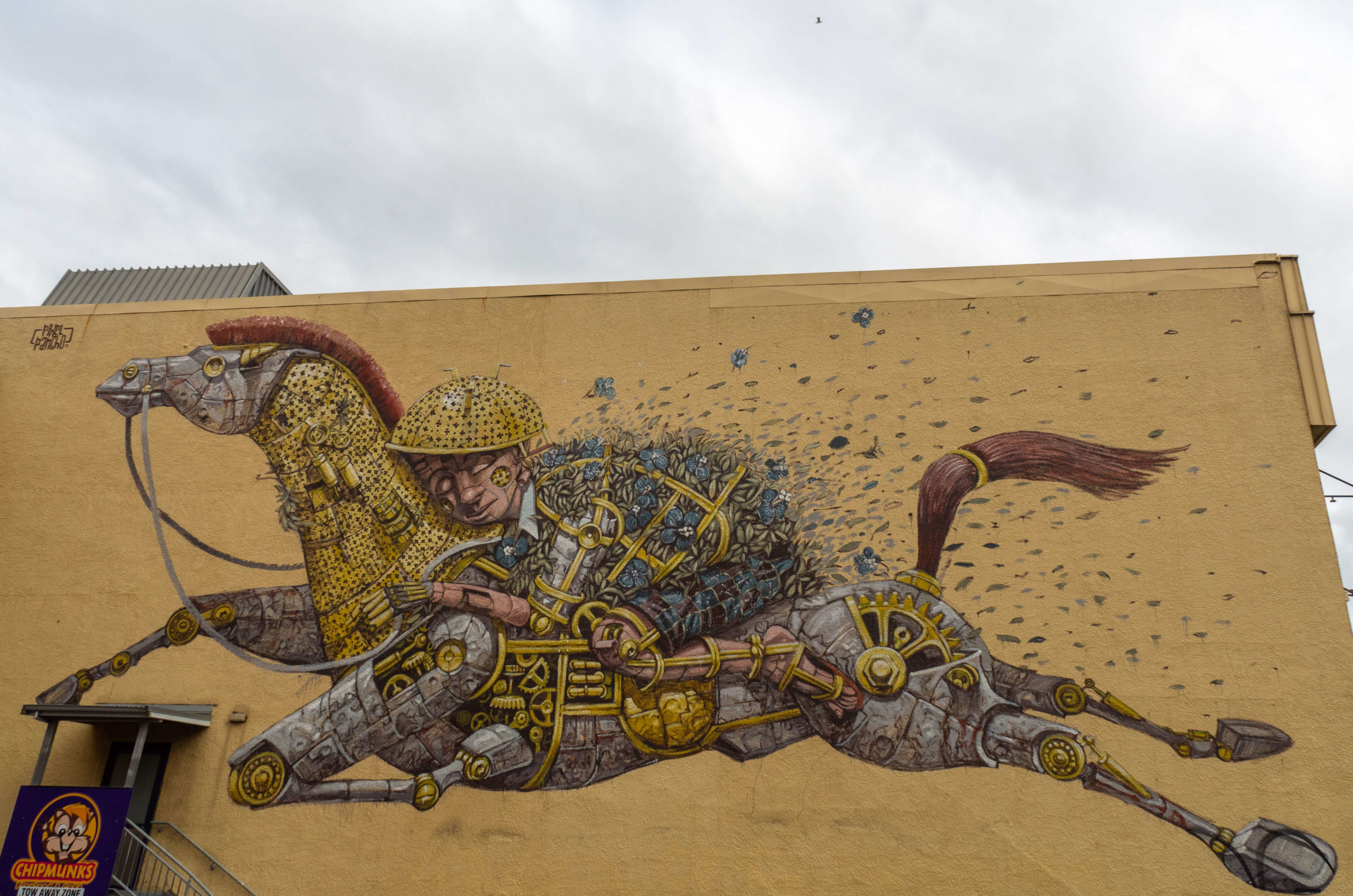 Cheval et cavalier street art trail Dunedin