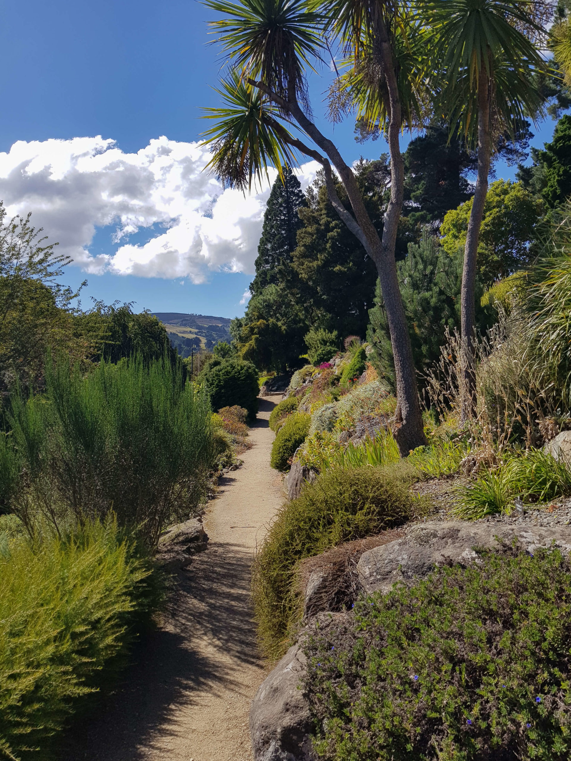 Dunedin jardin botanique