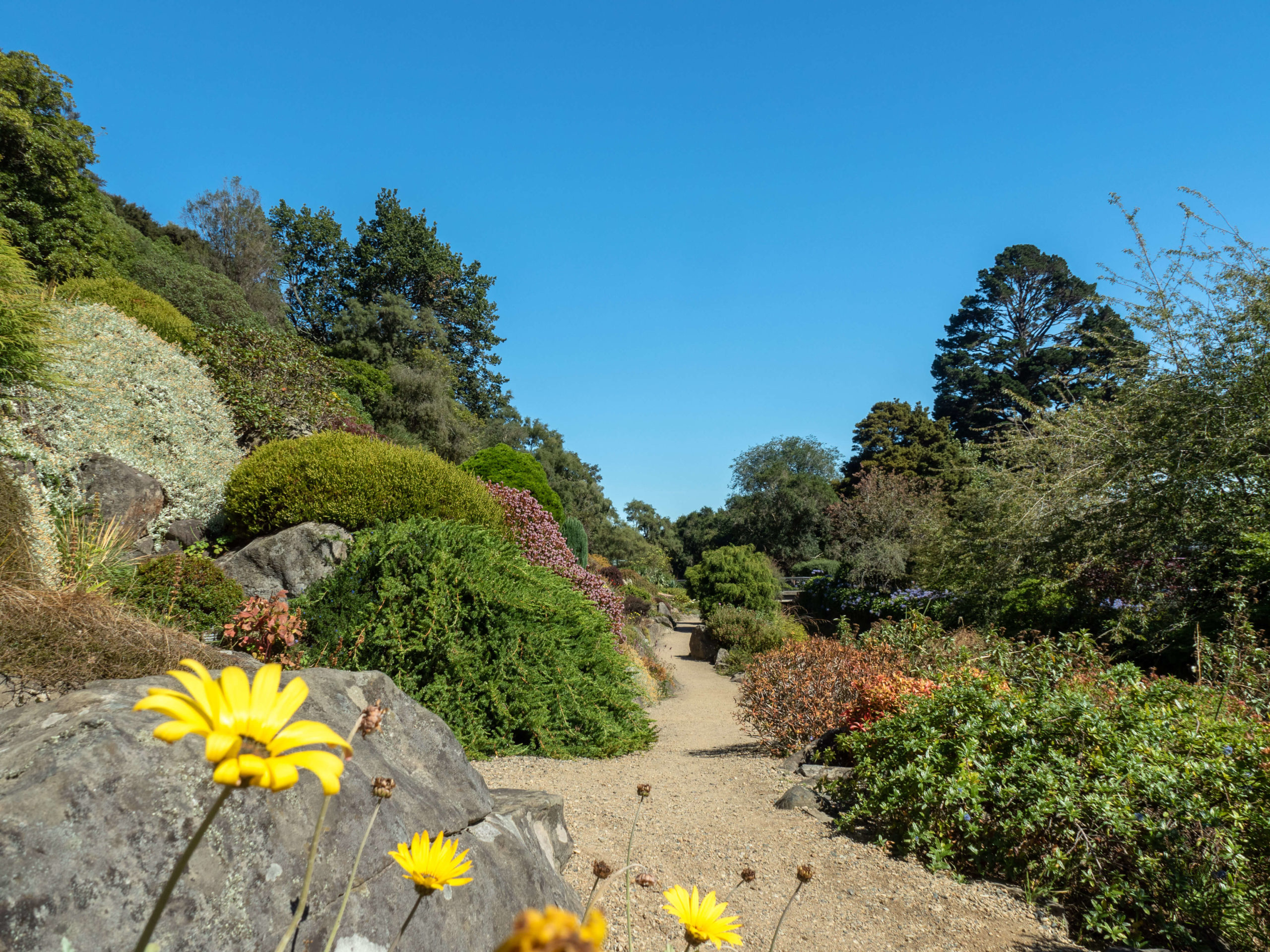 Jardin botanique - Dunedin