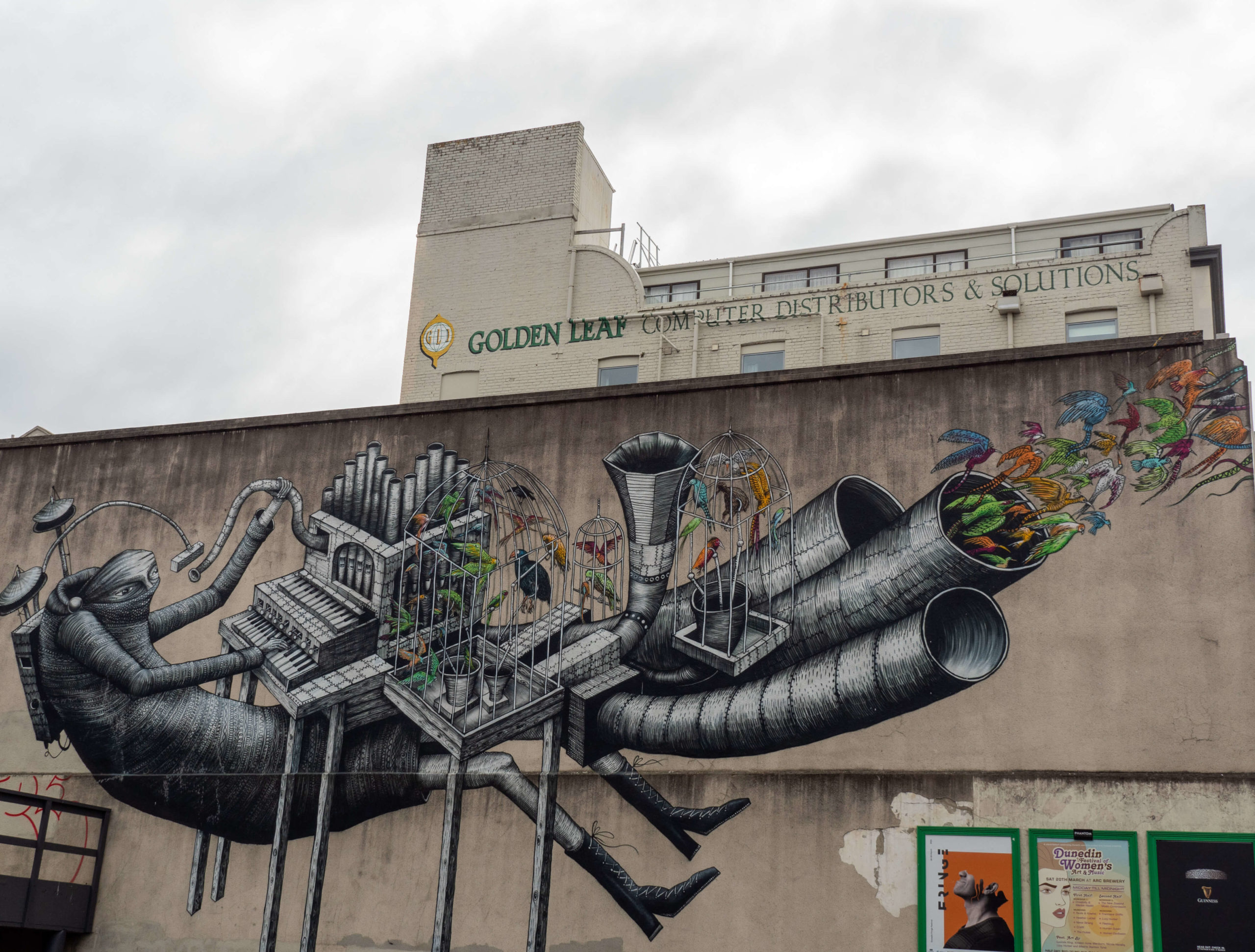 Musicien et oiseaux street art trail Dunedin