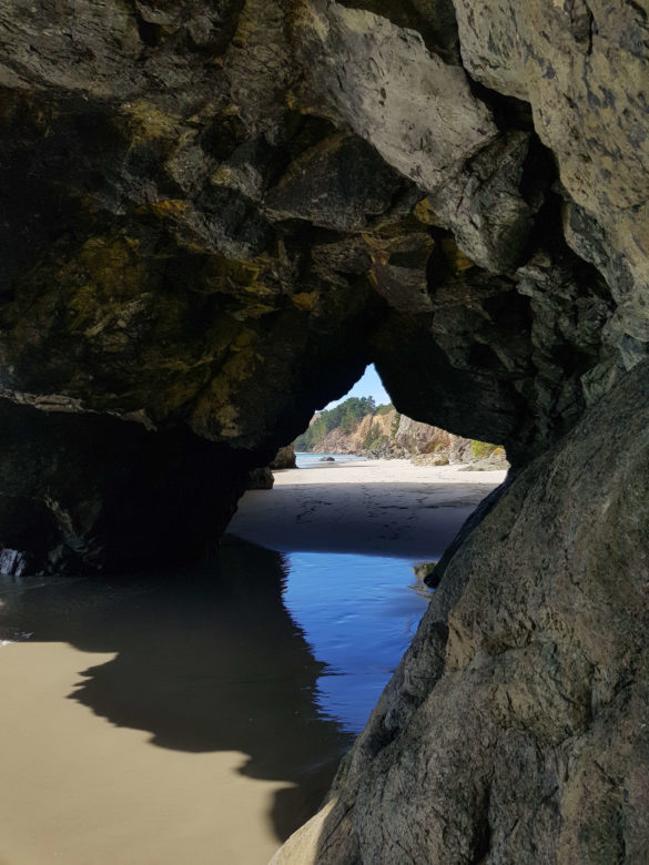 Cave naturelle Waitati Nouvelle-Zélande