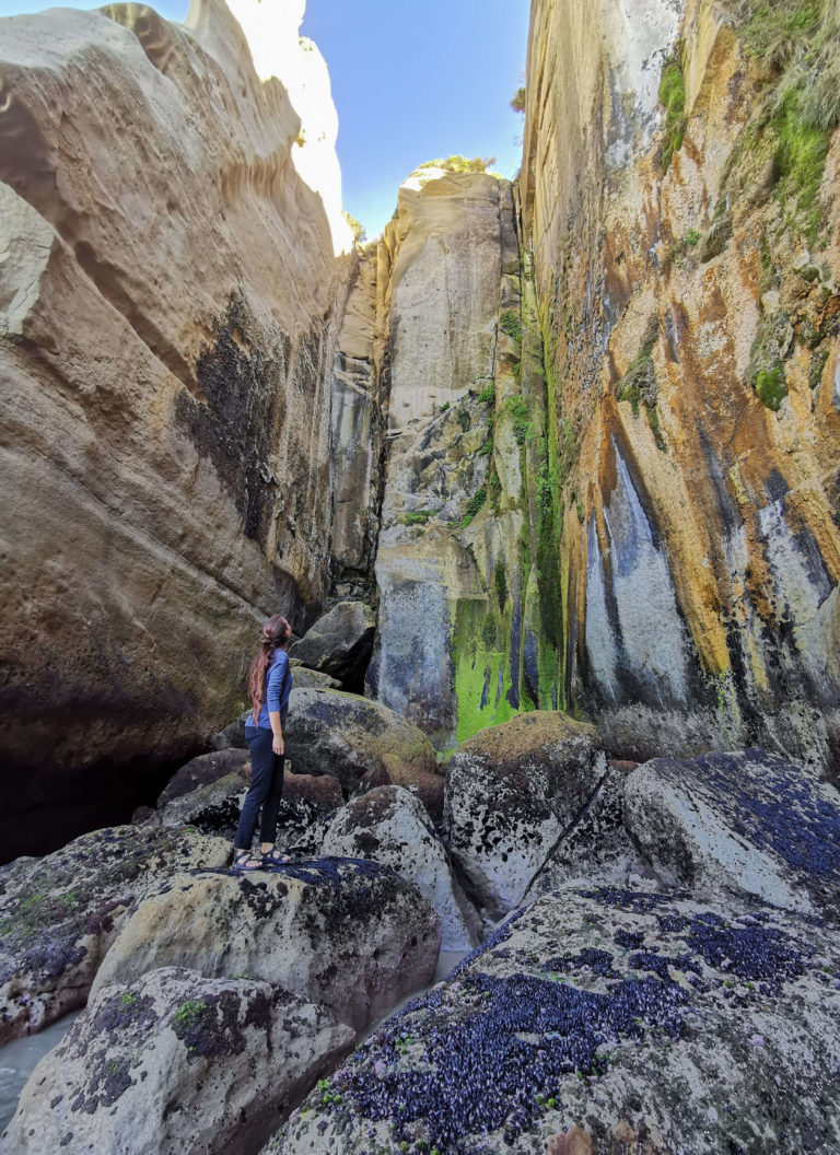 Meeriwild Tunnel beach Nouvelle-Zélande