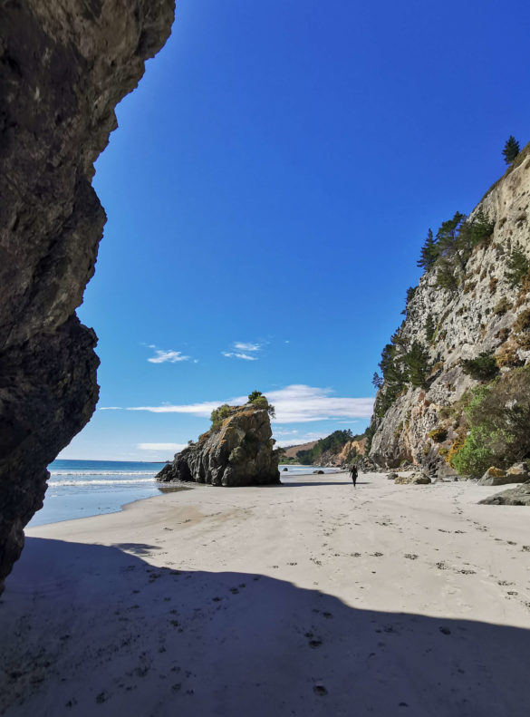 Meeriwild sur la plage de la cave naturelle Waitati Nouvelle-Zélande
