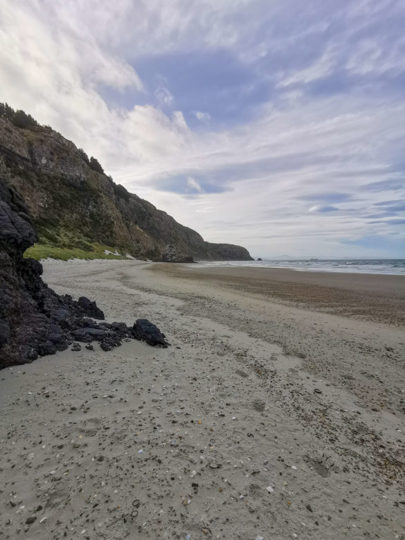 Plage Aramoana beach Nouvelle-Zélande