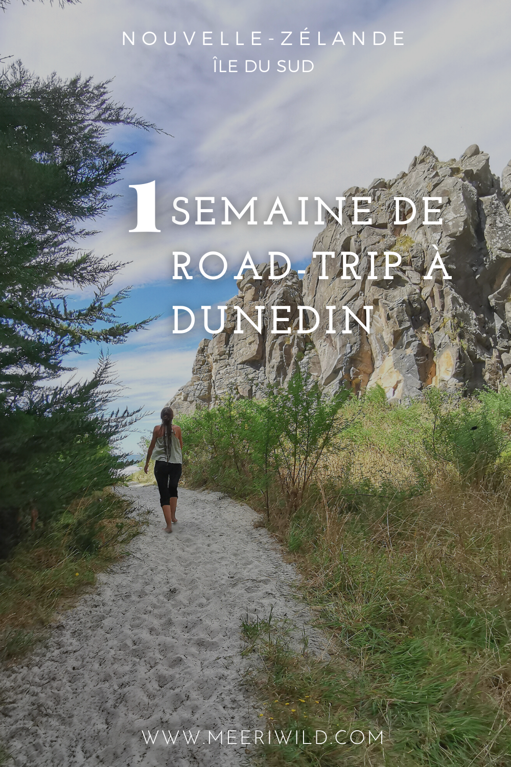 1 semaine de road-trip à Dunedin