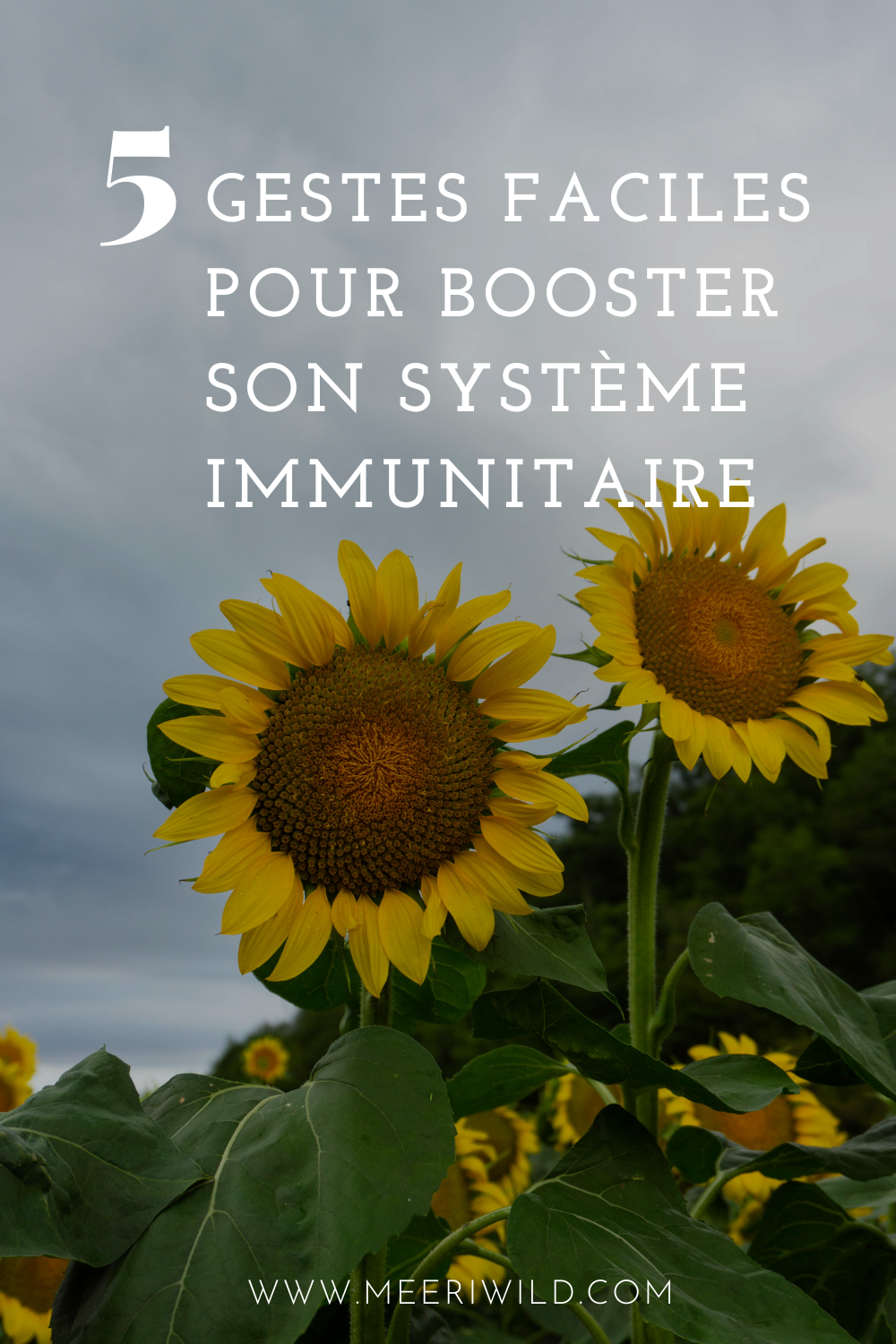 5 Gestes faciles pour booster son système immunitaire